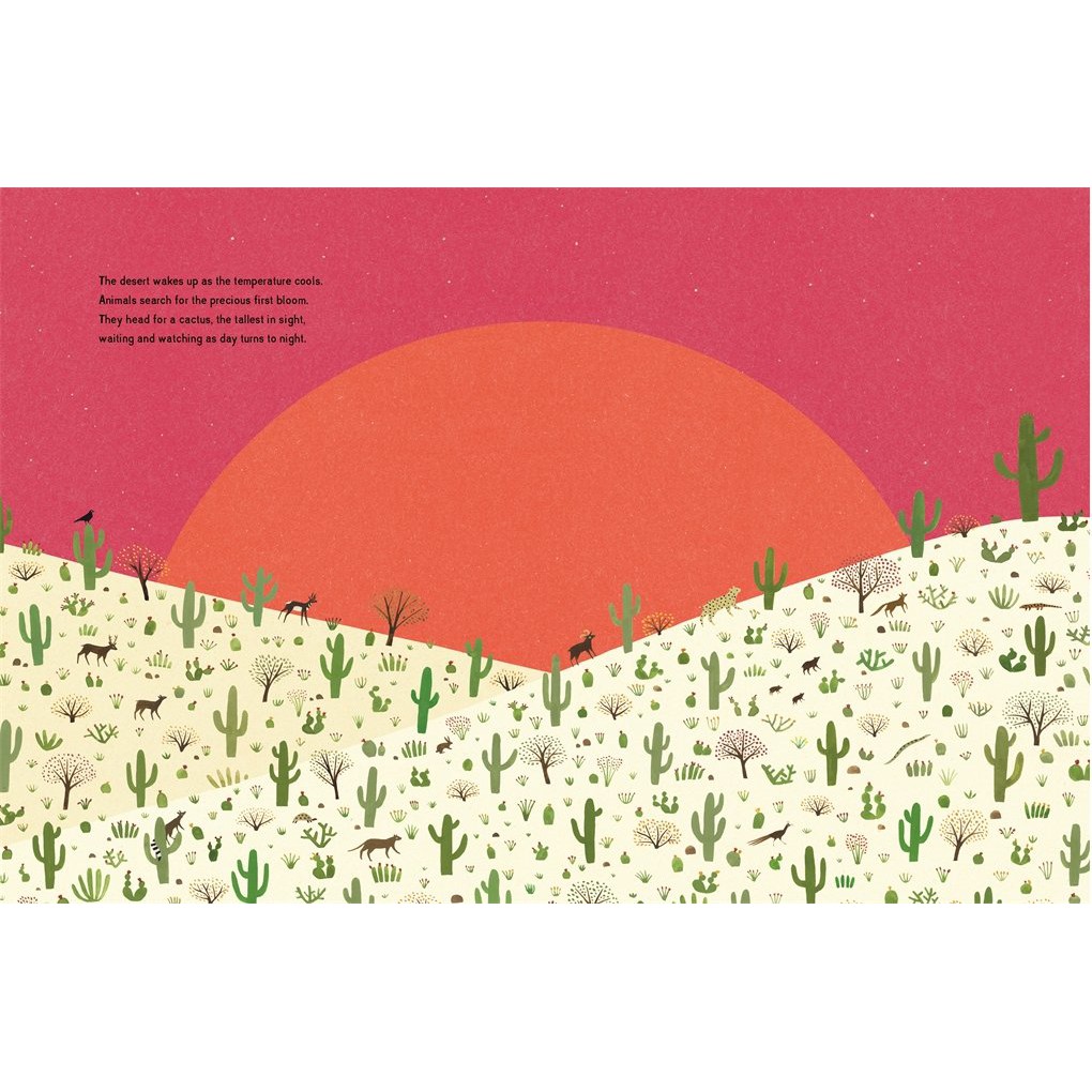 Sách The Night Flower - Á Châu Books