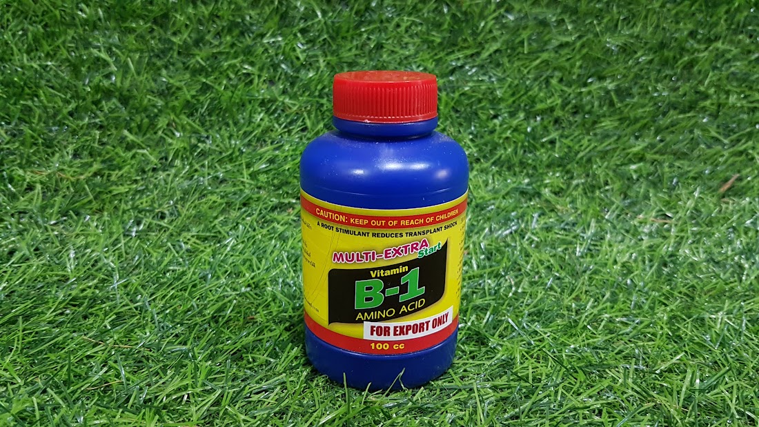 B1 thái multi extra dưỡng lá xanh mướt ra rễ bình xanh chai 100ml