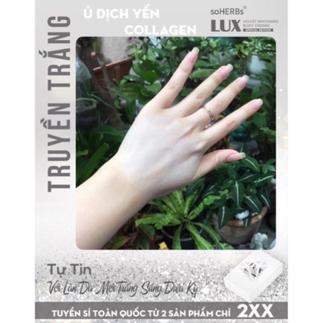 Ủ Dịch Yến Tươi Lux SoHERBs [Hộp 3 gói]
