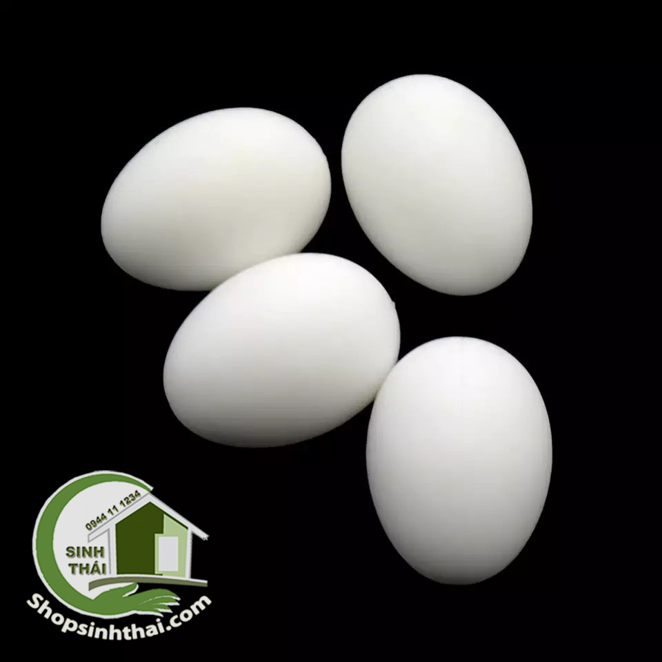 Trứng giả màu trắng làm dấu ổ gà nòi ( 1 quả )