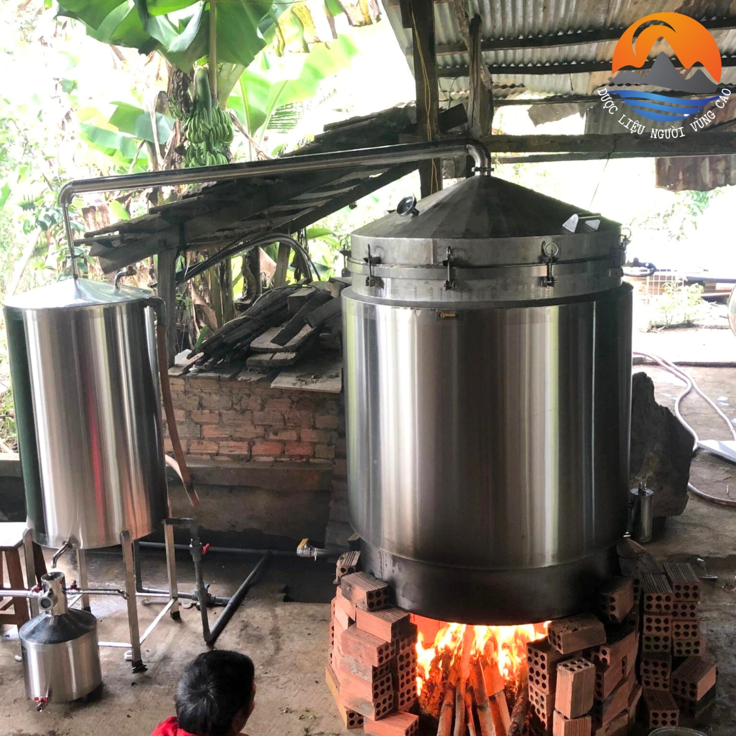 Tinh dầu sả java nguyên chất (chai 500ml) chưng cất thủ công thơm, khử mùi, đuổi côn trùng - Tinh dầu xả xã Java Mường Tè