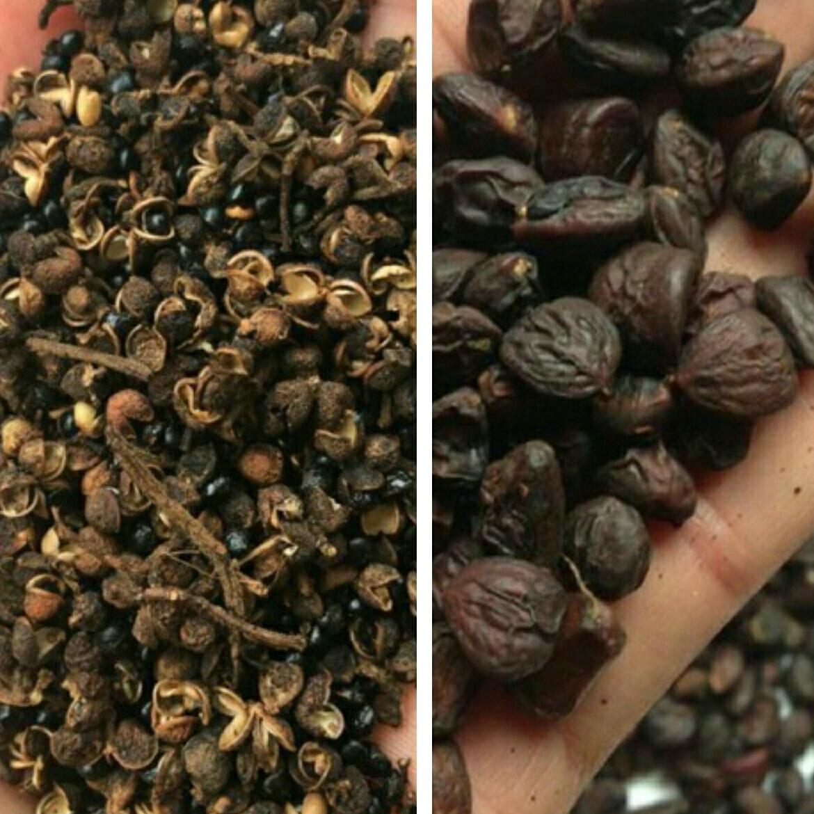 combo 100g dổi nếp rừng và 500g hạt mắc khén