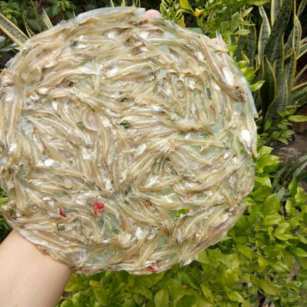 Bánh tráng cá cơm 1 kí Sông Đốc Cà Mau