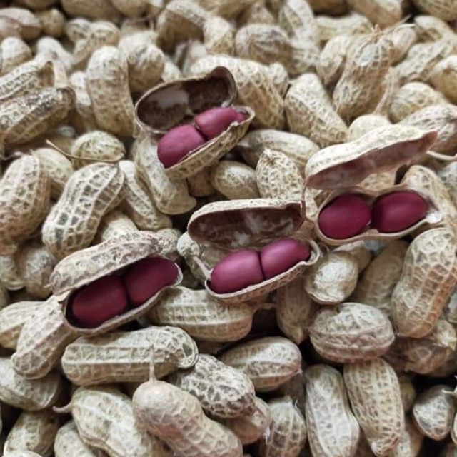 Đậu Phọng Đỏ (Lạc) Tây Bắc The Nut Valley  -RED PEANUTS G500gr
