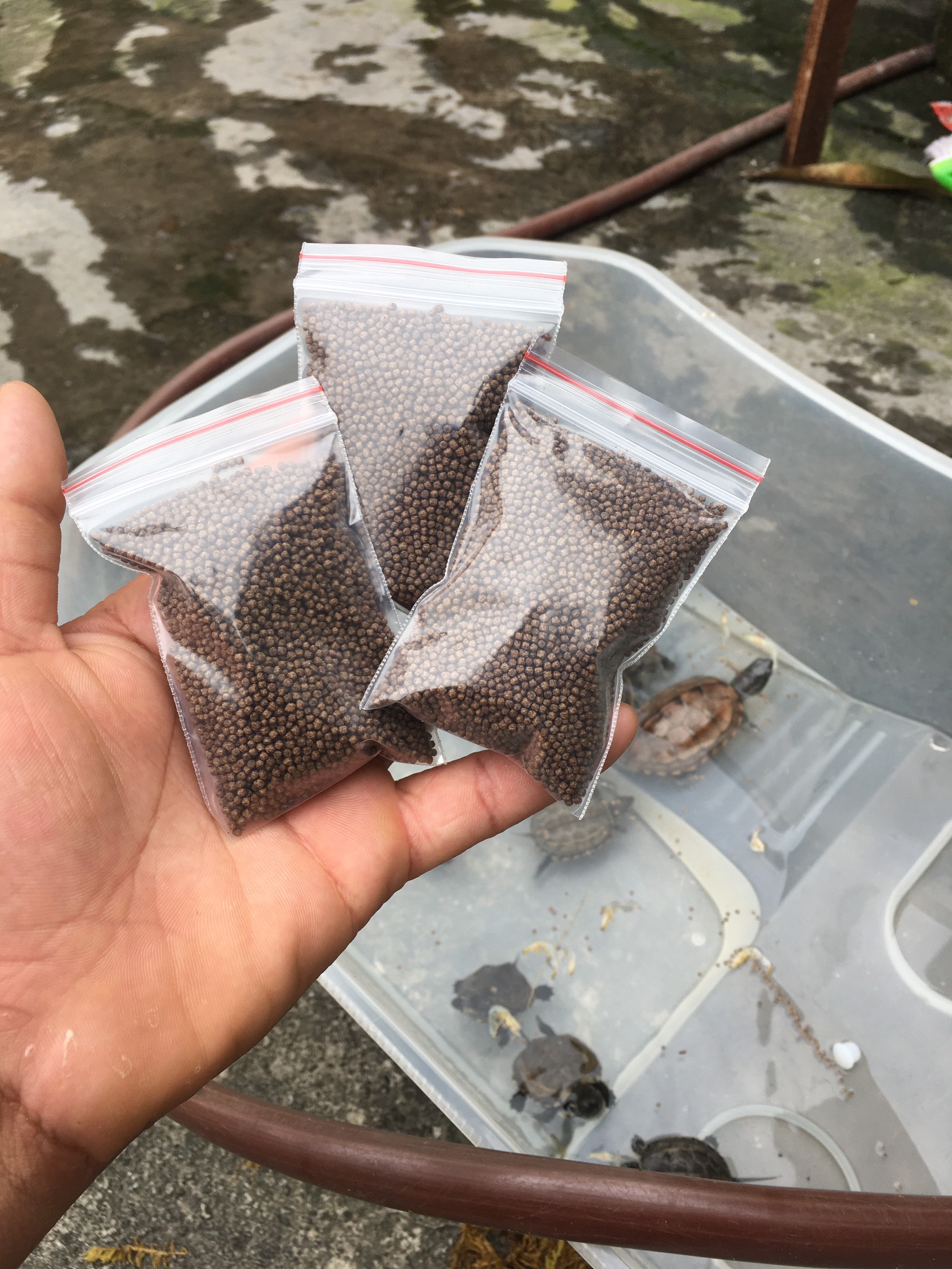 Cám Cho Rùa Nước-Cá Cảnh-Lớn Nhanh-Kích Màu