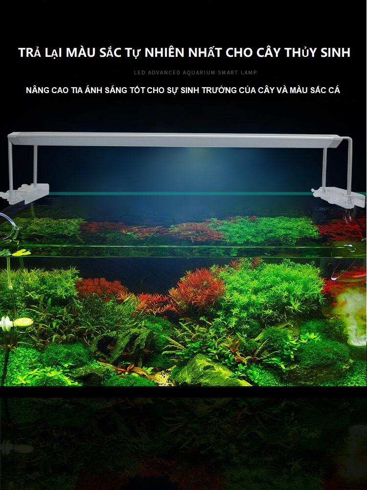 ĐÈN MÁNG RGB SMART LED HẸN GIỜ AQUABLUE DEE838 (60-80CM)