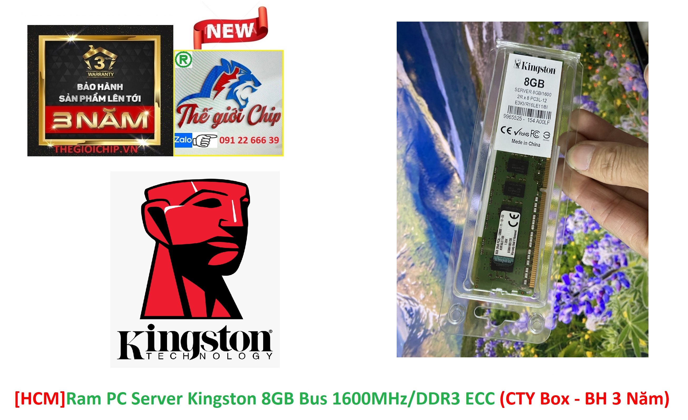 [HCM]Ram PC Server Kingston 8GB Bus 1600MHz/DDR3 ECC (CTY Box - BH 3 Năm)