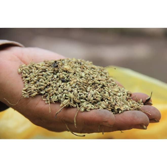 Trà Hoa Hòe 1kg