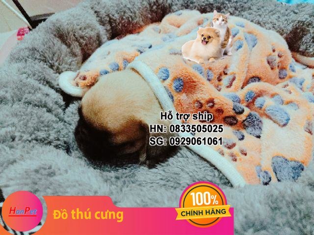 Hanpet - Chăn mền cho Chó mèo ngủ (Màu Ngẫu Nhiên) - Chăn đắp cho chó mèo vải nhung siêu mềm mại, ấm vào mùa đông và mát vào mùa hè