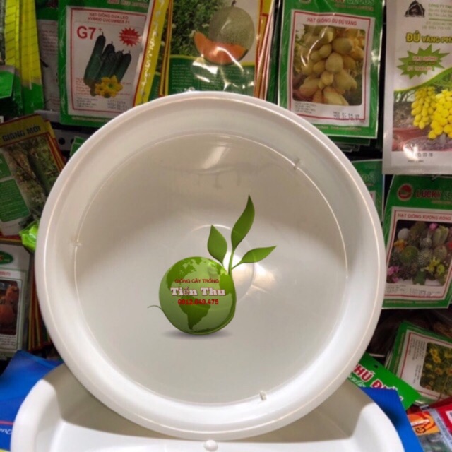 ĐĨA LÓT CHẬU CÂY CẢNH PHI 23 (5 cái)