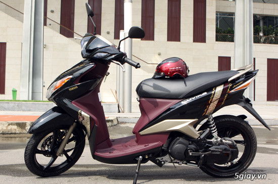Tem rời luvias đen nâu 2011 TT