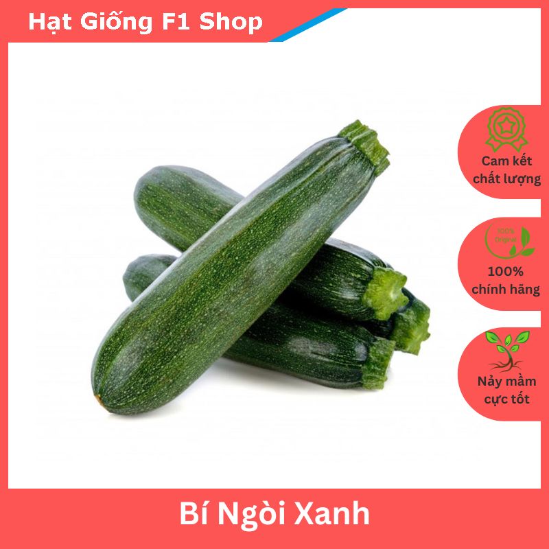Hạt giống bí ngòi xanh sai trái