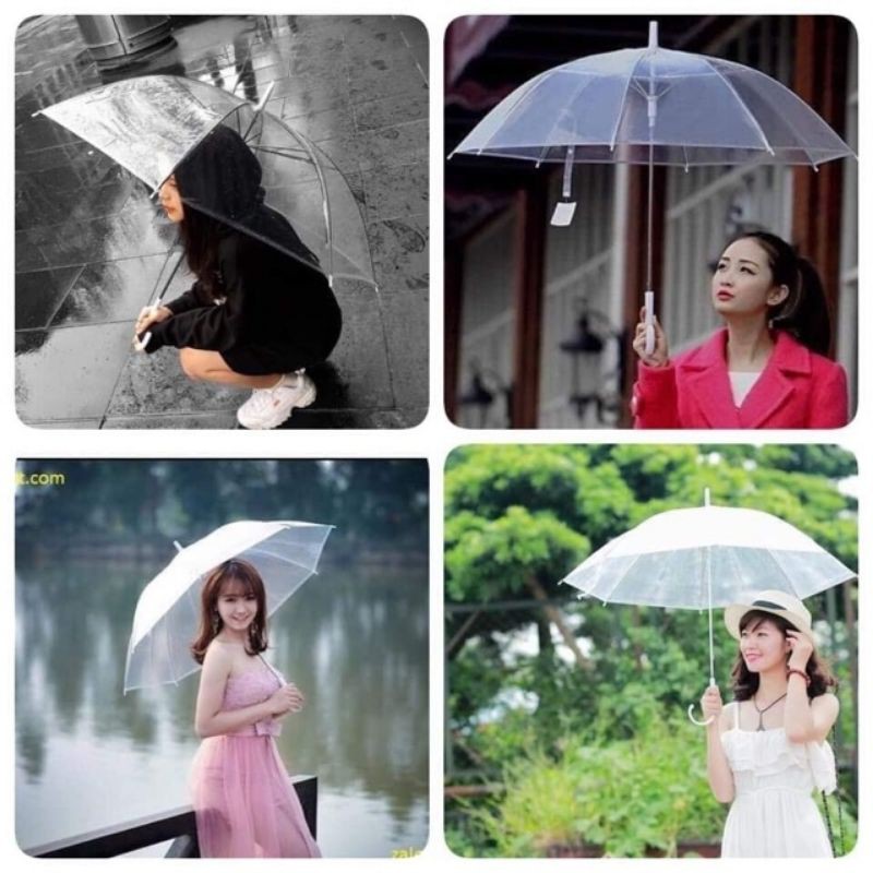 Ô trong suốt ô hoa cúc thời trang