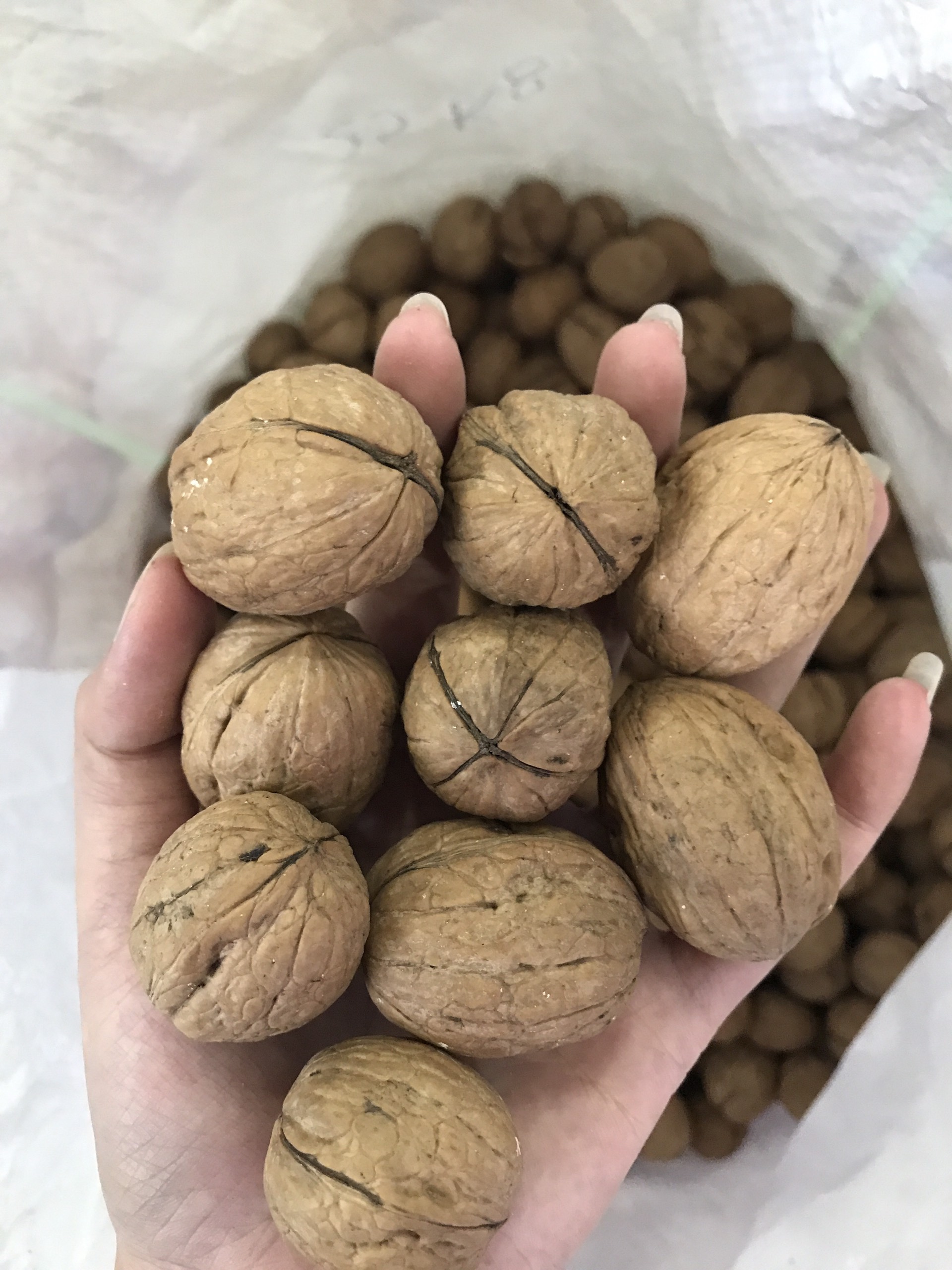 Óc Chó Chandler Nhập Khẩu Mỹ Túi 500g