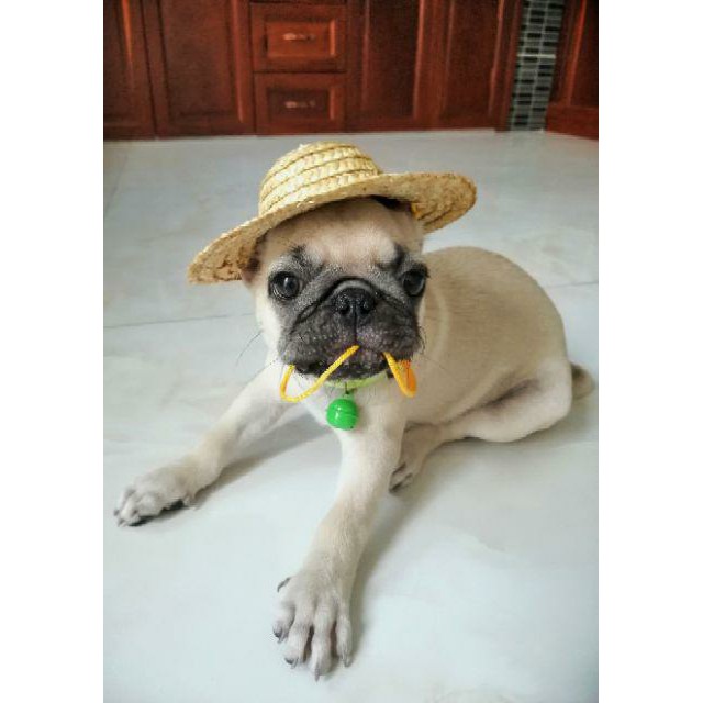 [HCM]Nón Cói Mũ Rơm Đội Đầu Cute Cho Cún Miu