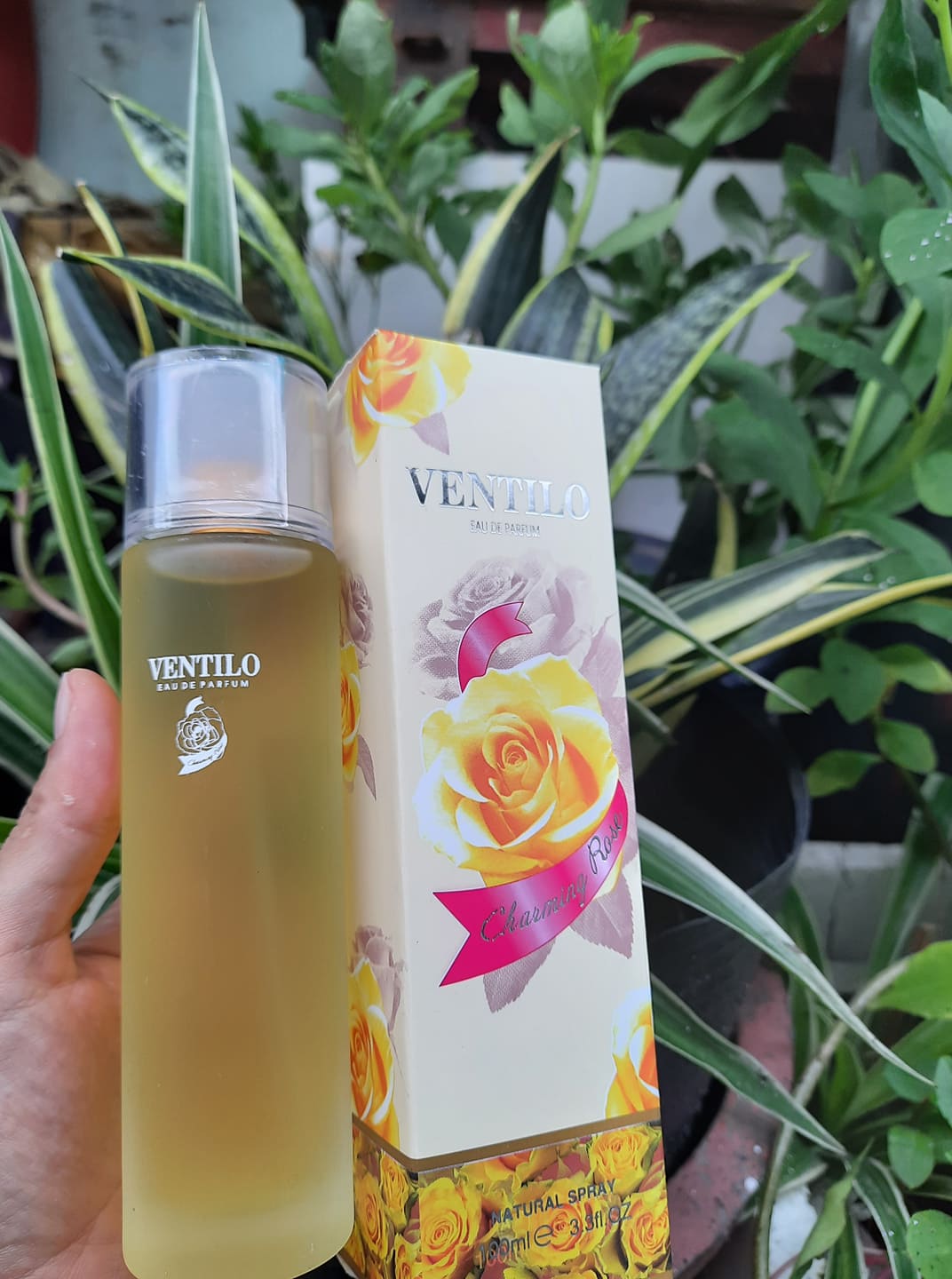 [HCM][NHẬN QUÀ - 1 THỎI SON NHA ĐAM] Nước hoa Ventilo Charming Rose Hương Hoa Hồng 100ML