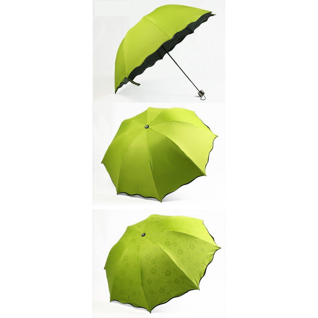 [HCM]Dù nở hoa khi gặp nước