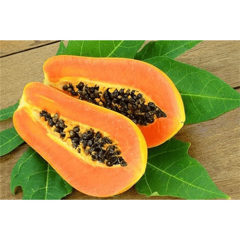 10H_Hạt giống Đu Đủ Ruột Vàng (Siêu trái, ngọt, thơm)