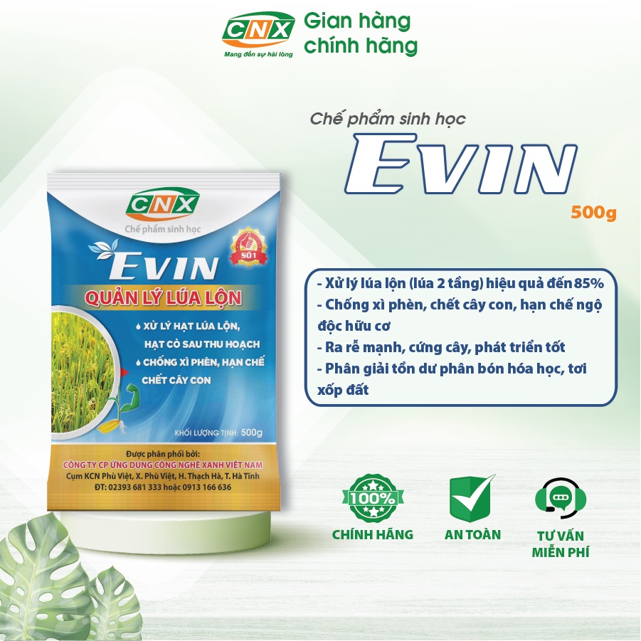 Chế phẩm sinh học EVIN quản lý lúa ma, lúa lộn, lúa 2 tầng, lúa cơi hiệu quả, an toàn, giúp ra rễ mạnh  - CNX 500G