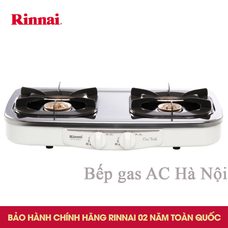 Bếp gas dương Rinnai RJ-554S(SV) nhập khẩu nguyên chiếc Nhật Bản