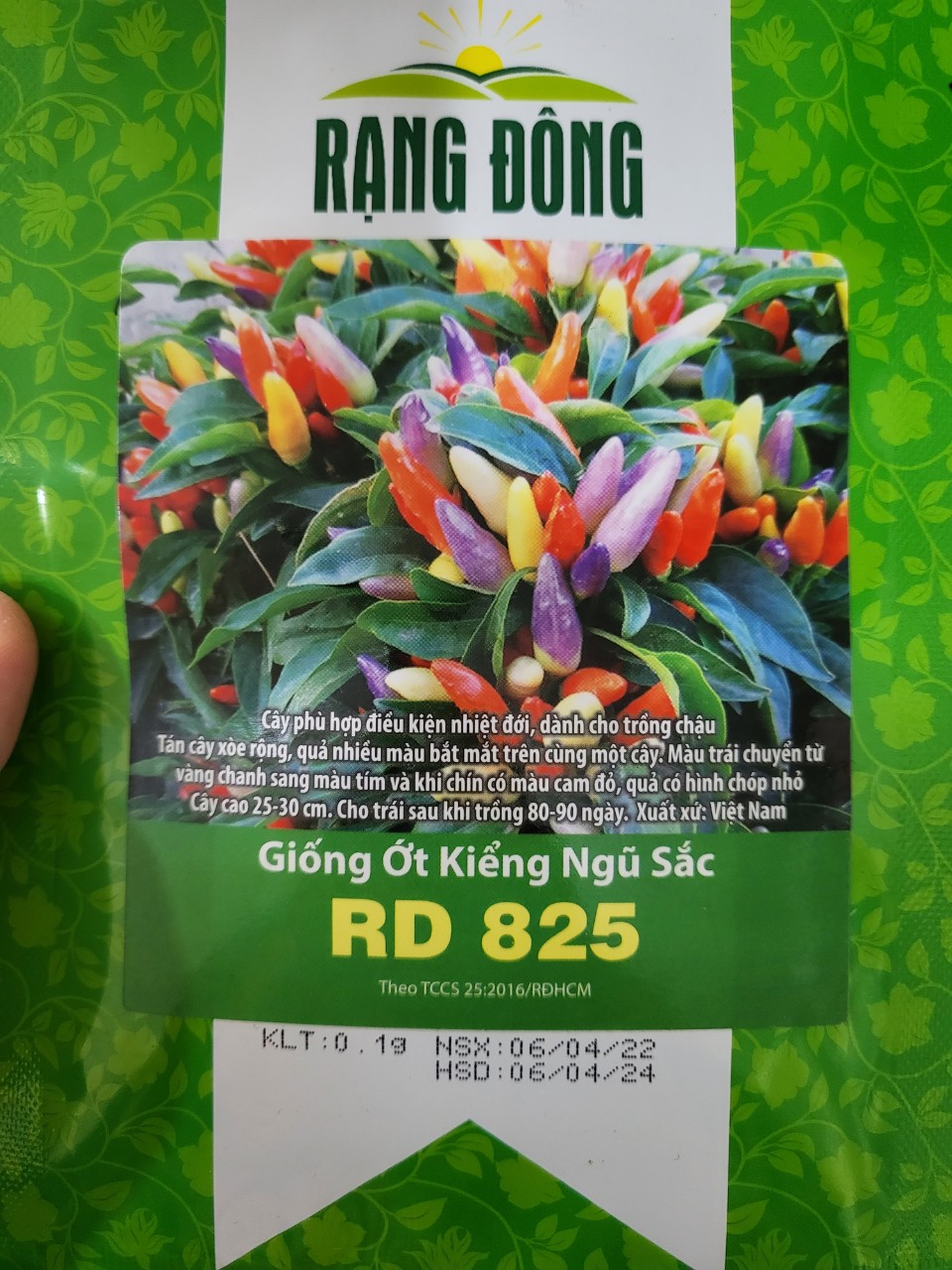 Hạt giống ớt kiểng ngũ sắc rạng đông rd 825