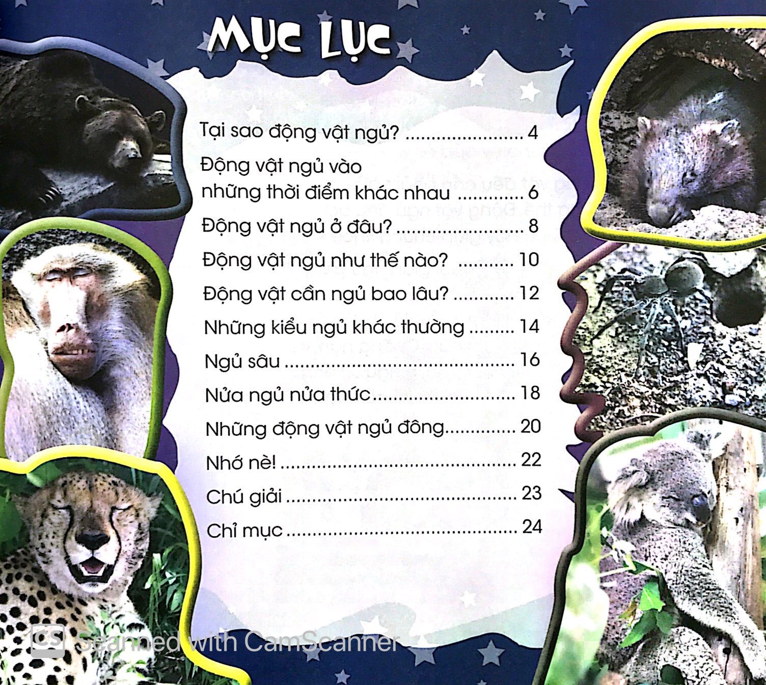 Độc Lạ Phi Thường - Giấc Ngủ Muôn Hình