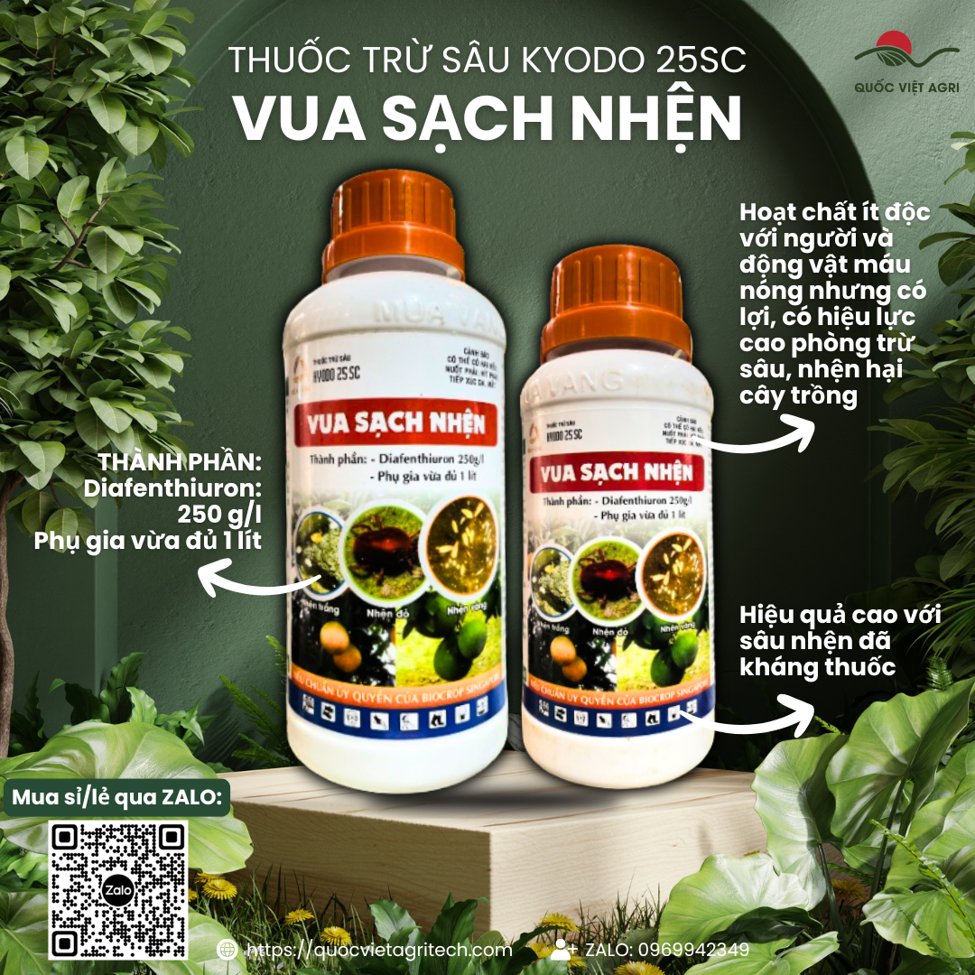 Thuốc trừ sâu nhện KYODO 25SC (240ml - 450ml) - Diafenthiuron 250g/l VUA SẠCH NHỆN