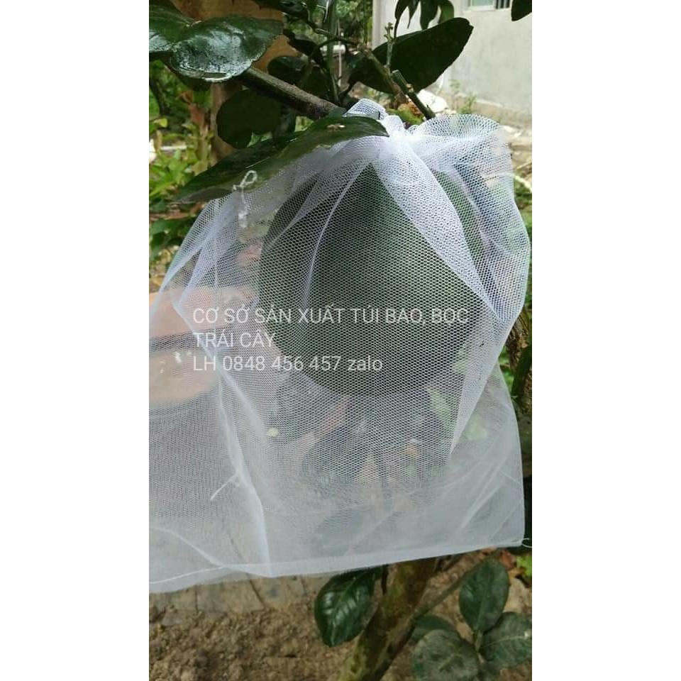 [35*40cm] 50 CÁI TÚI BỌC BƯỞI, TÚI BỌC NHO, TÚI BỌC NHÃN ,TÚI BỌC DƯA LƯỚI 35*40 LOẠI TỐT -TÚI BỌC TRÁI CÂY