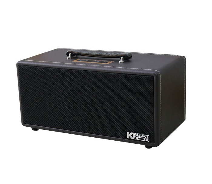 Loa Kéo Di Động Acnos KS362D