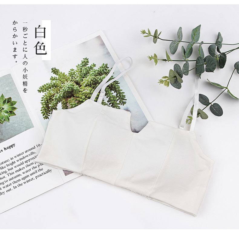 Áo ngực 2 dây cotton mút mỏng 2 quây 1805
