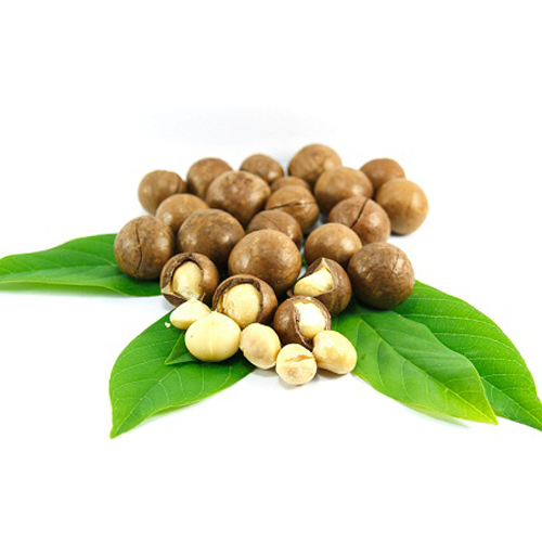 Hạt Macca Cát Khánh hũ 180gr