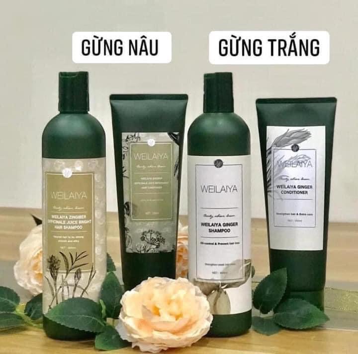 Cặp gội gừng trắng giảm rụng tóc Weilaiya