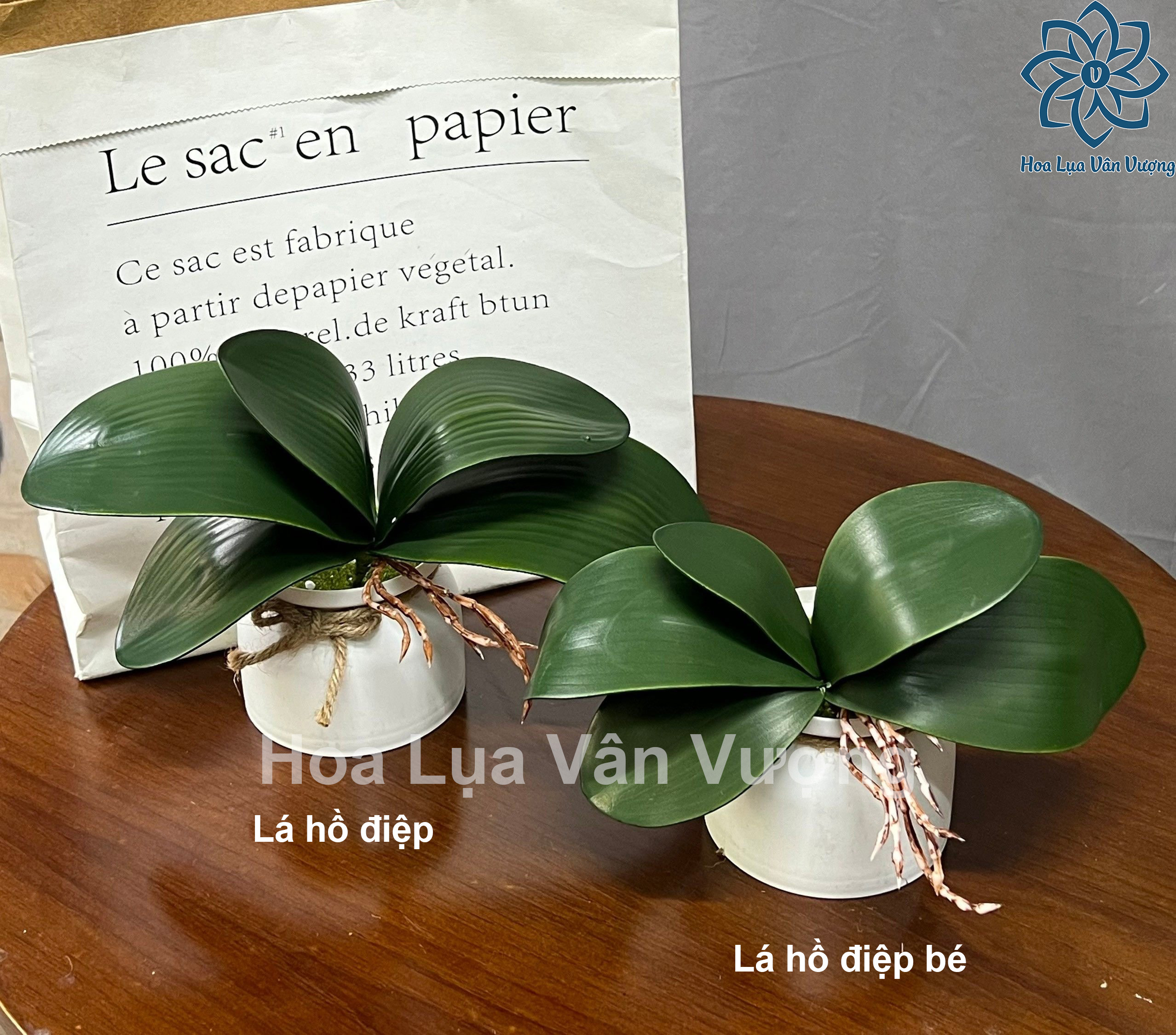 Lá Lan, Lá Hồ Điệp Chất Liệu Cao Su