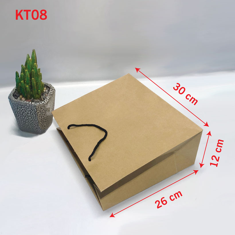 Combo 10 Túi Giấy Kraft trơn KT08 (26 x 30 x 12)