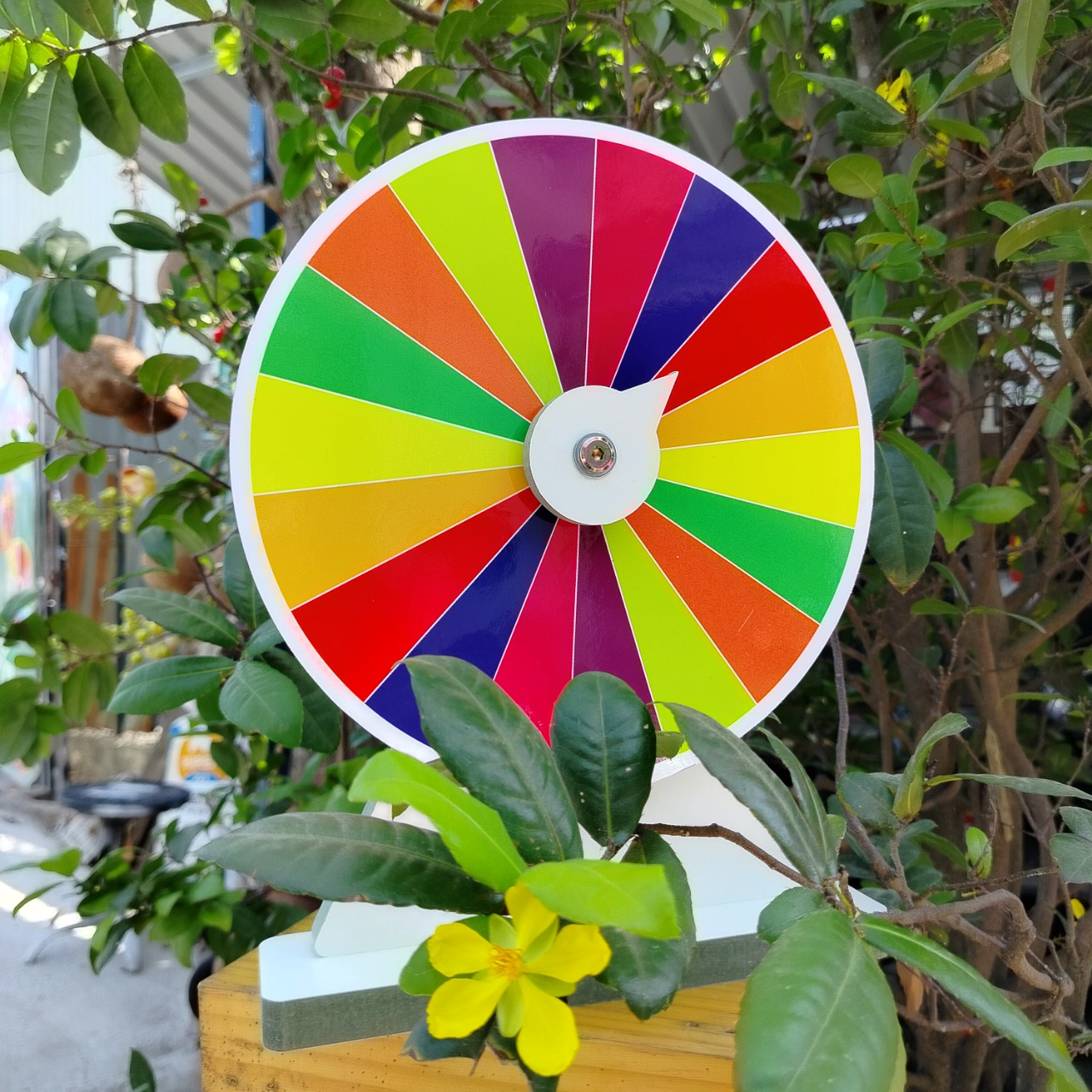 Vòng Quay May Mắn ( 18 màu viền trắng - Kt: 25cm x 35cm)