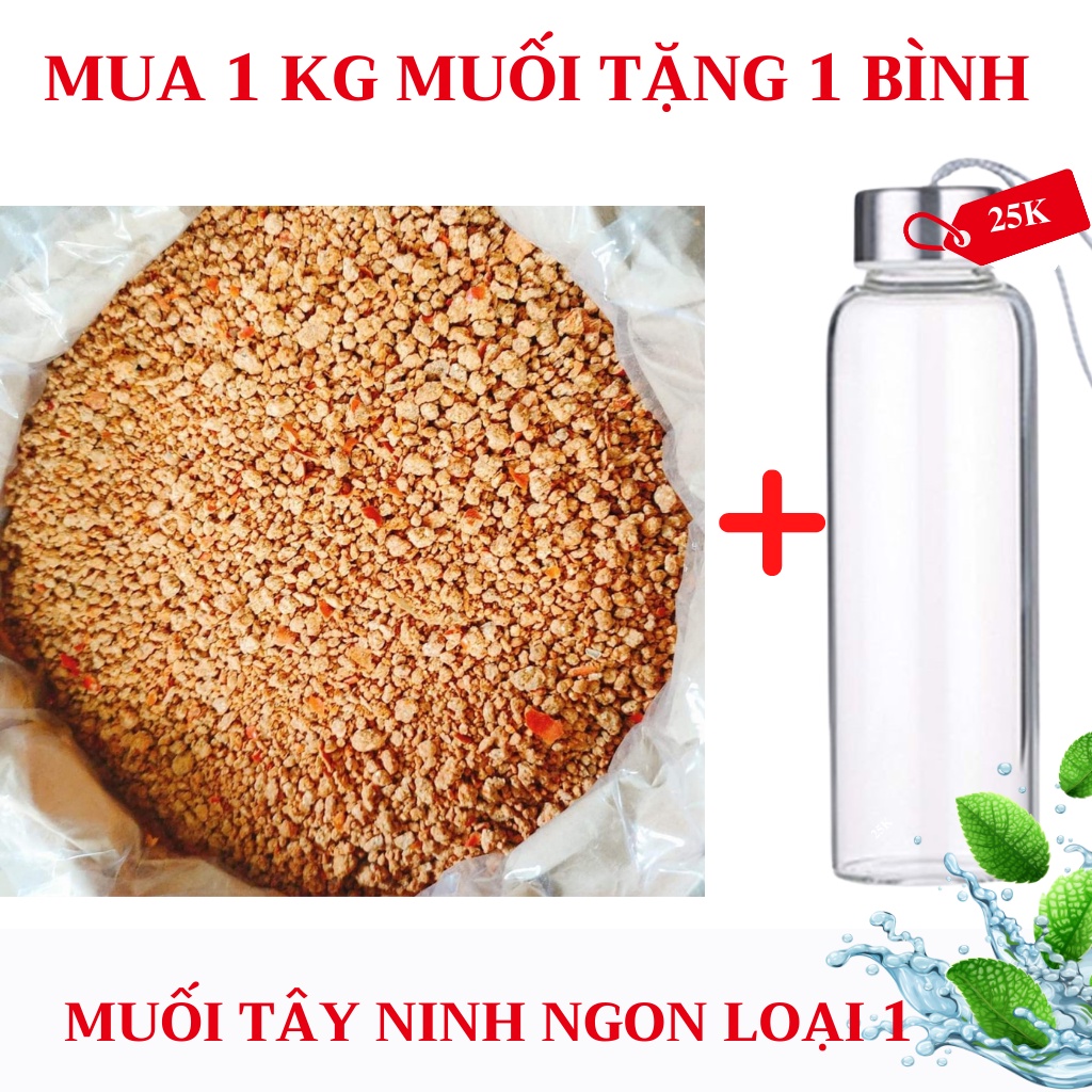 [COMBO 3 kg muối Tây Ninh loại NGON tặng 2 bình thủy tinh cao cấp chịu nhiệt] Combo 3 Kg muối Tây Ninh Loại 1 thơm ngon