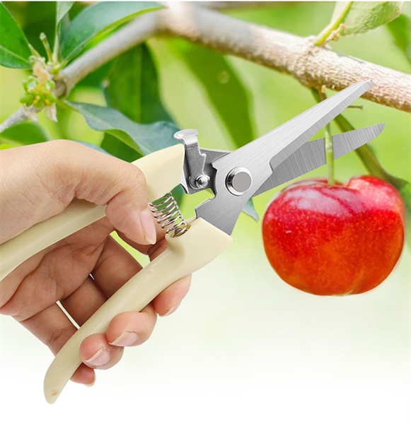 éo cắt cành bằng thép không rỉ