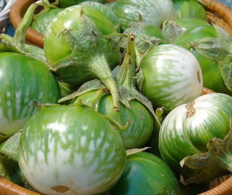 Hạt Giống Cà Ngọt Lai F1 (Cà Pháo Trứng) Trái Sai, Giòn Ngọt