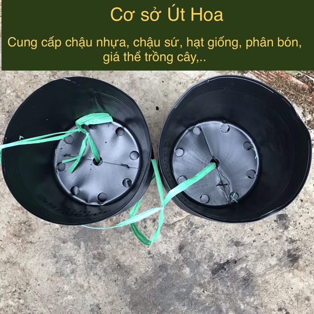 Combo 100 Chậu Nhựa Đen C10 (25x20cm) trồng cây