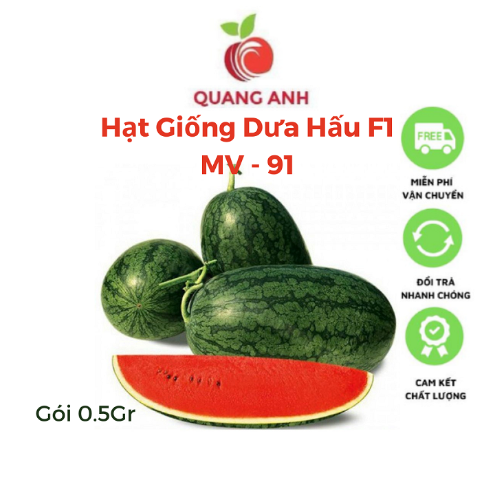 Hạt giống dưa hấu f1 4 mùa - mv91 - gói 0.5gr
