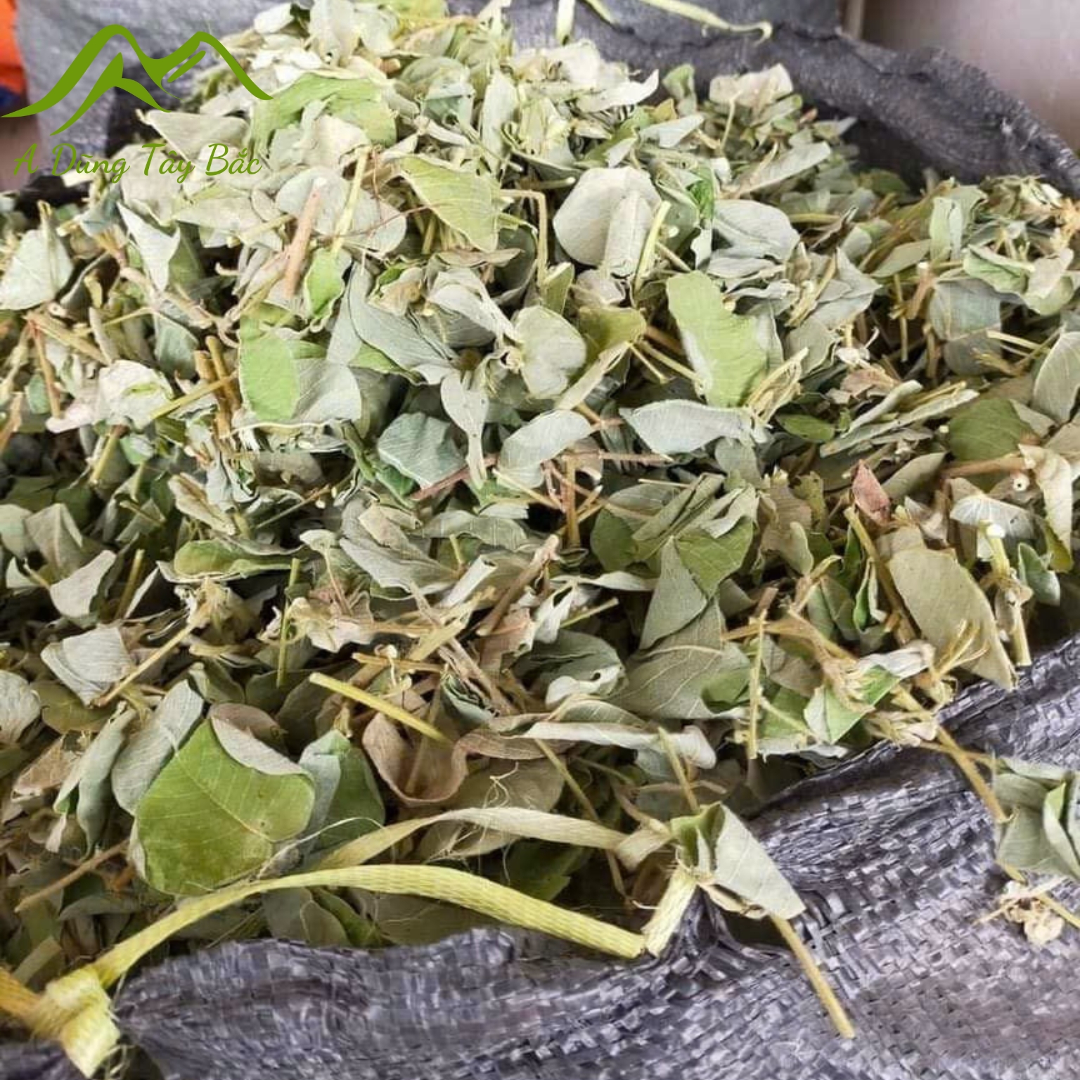 Kim tiền thảo khô loại 1 trị sỏi thận. Trà kim tiền thảo râu mèo giúp lợi tiểu, đánh bay sỏi niệu quản, sỏi mật hiệu quả