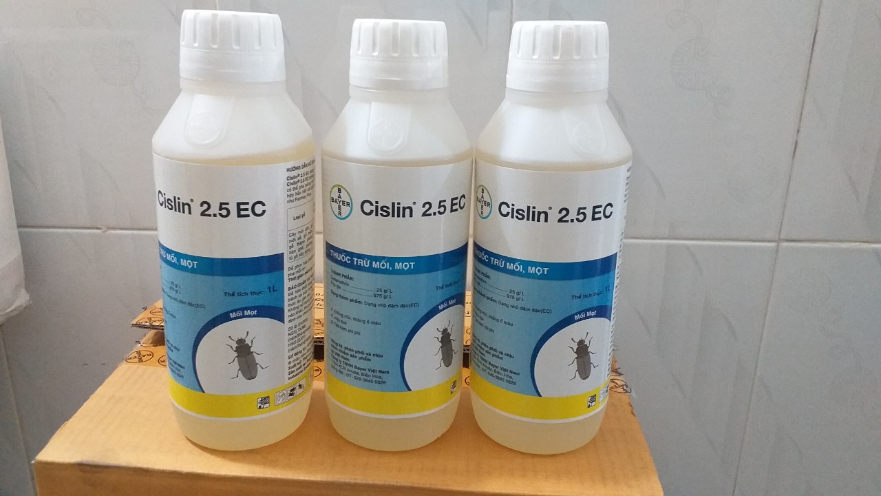Thuốc diệt mối mọt Cislin 2.5 EC