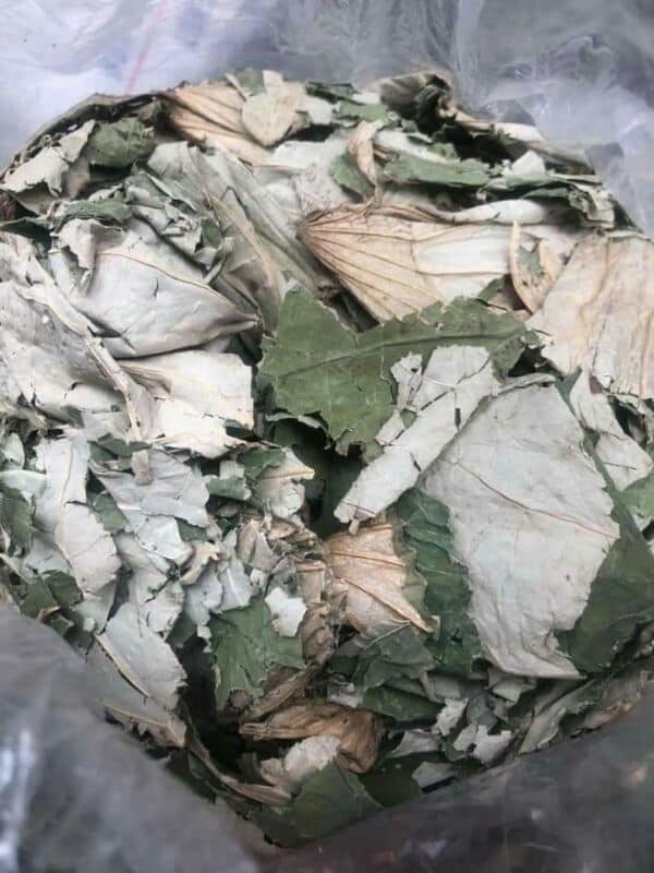 lá sen khô 500g