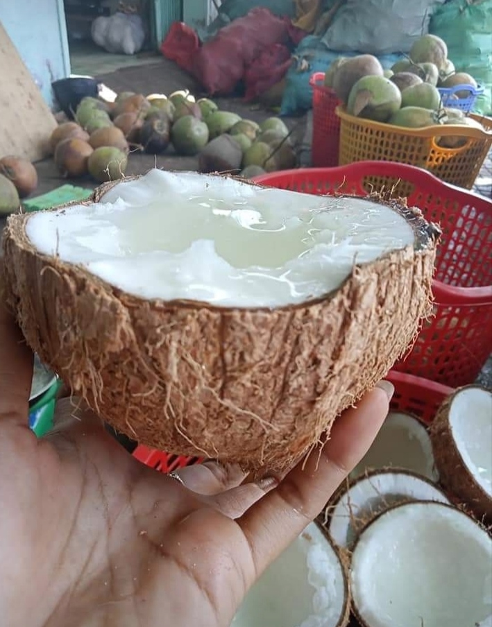 Dừa Sáp(Đặc sản trà Vinh)