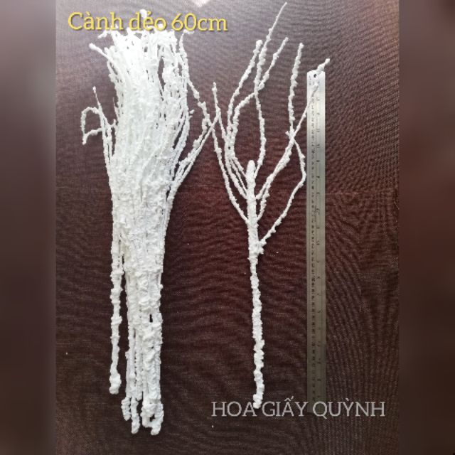 Cành tuyết dẻo