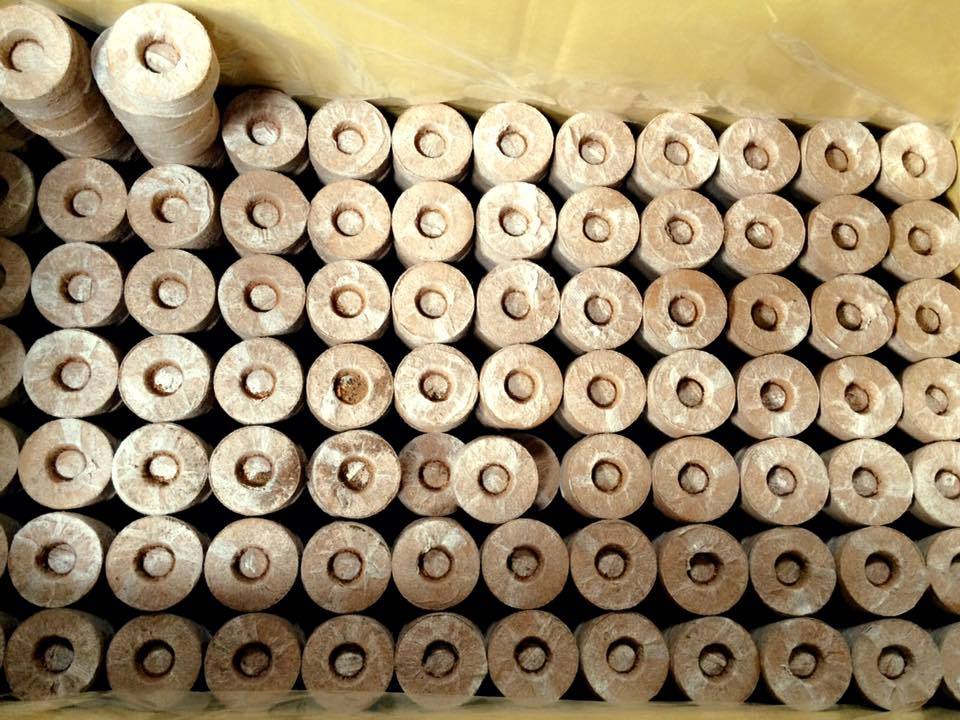 30 viên nén sơ dừa ươm cây trồng rau