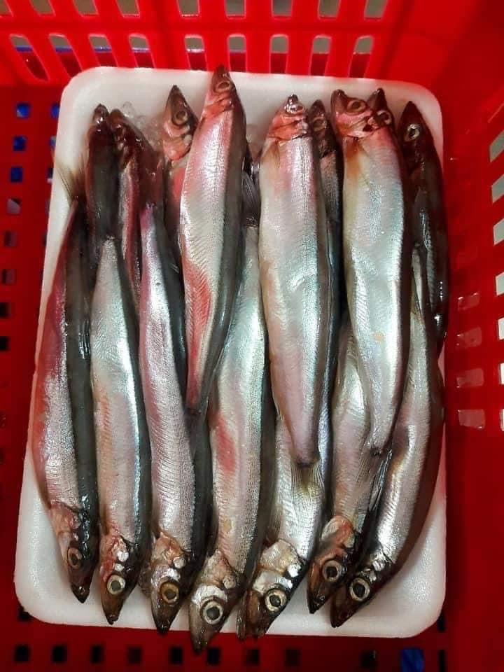 CÁ trứng vĩ 200gr (giao tphcm)