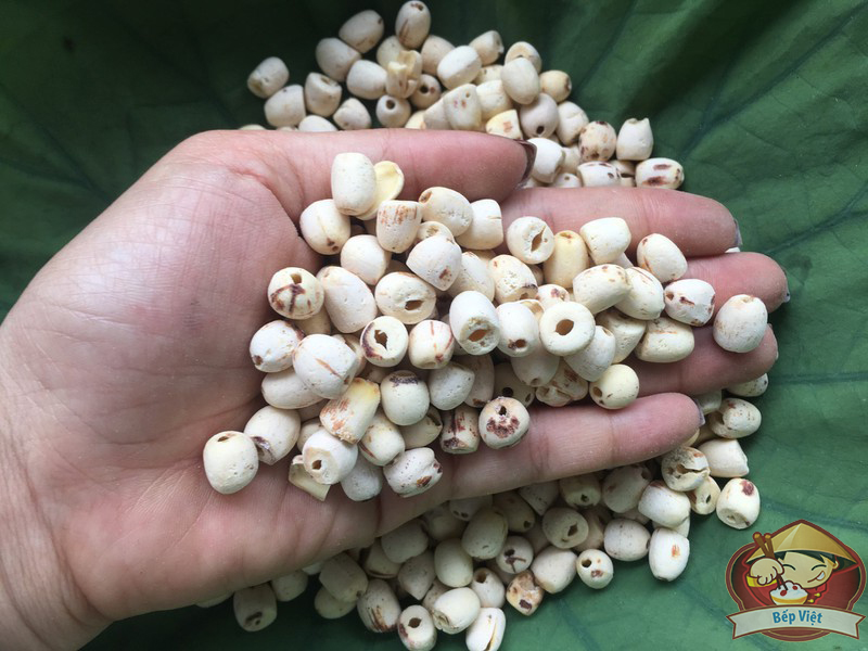 [HCM]Hạt sen sấy khô gói 500gr
