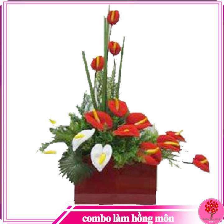 [HCM]NHỊ HỒNG MÔN LÀM HOA