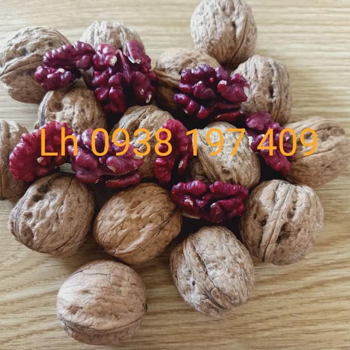 [HCM]Qủa óc chó đỏ còn vỏ tặng kim tách vỏ